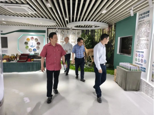 凯发·K8官网 - 天生赢家·一触即发